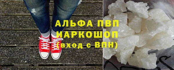 кокс Арсеньев