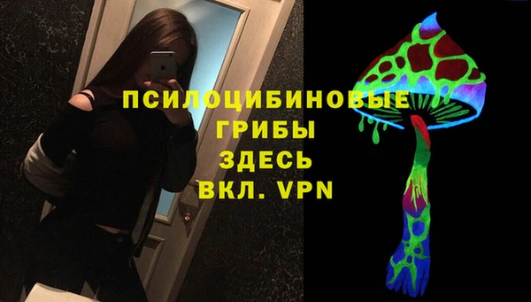 кокс Арсеньев