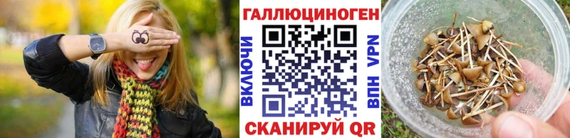 Галлюциногенные грибы мицелий  Облучье 